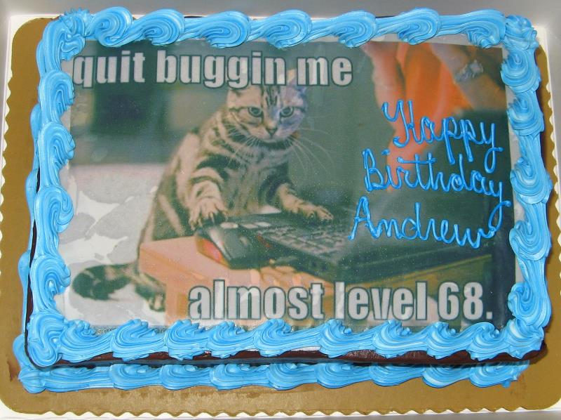 Cake Lolcat